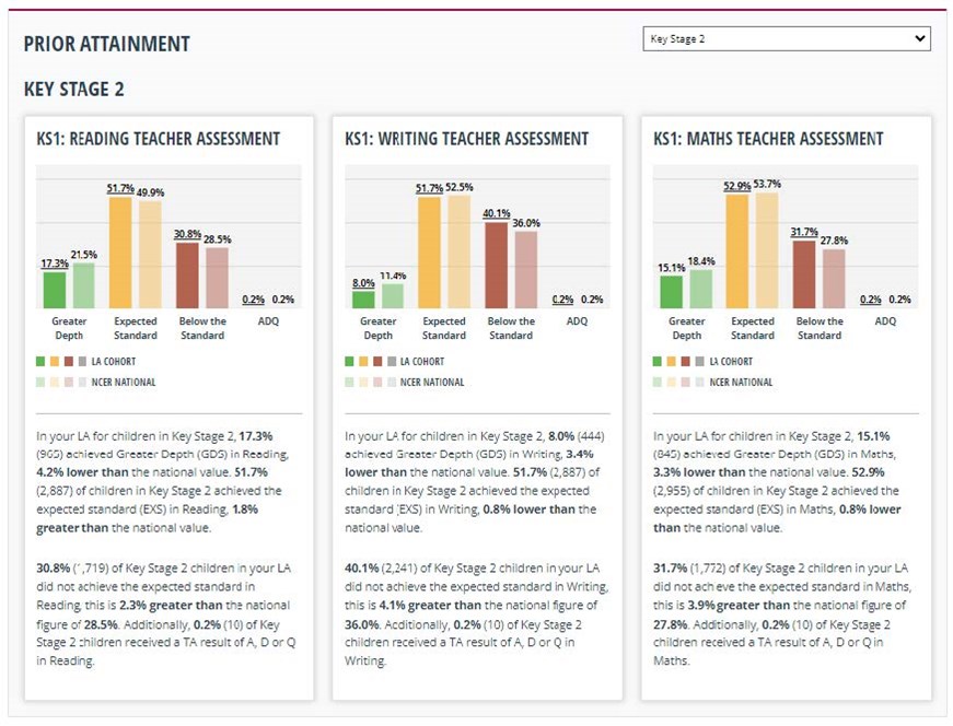 Perspective Light Insight (Analysis) School Census Cohort report