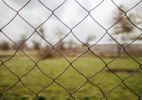Chain link fence with green field behind