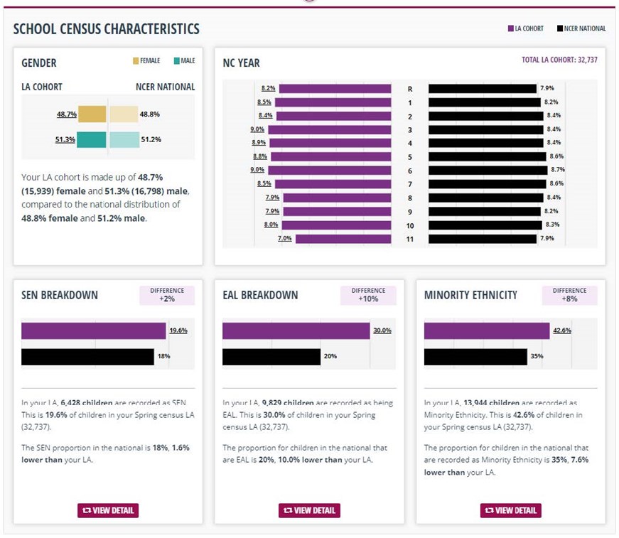 Perspective Light Insight (Analysis) School Census Cohort report