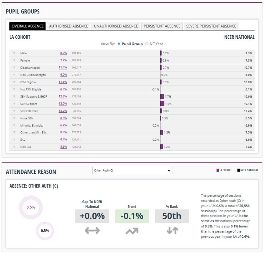 Perspective Light Insight (Analysis) Absence report